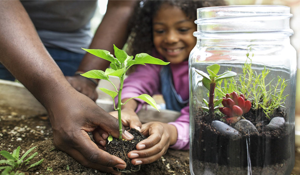 Terrariums can introduce a new generation to gardening