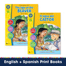 The Sign of the Beaver (Novel Study Guide)