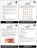 El Deafo - BONUS WORKSHEETS