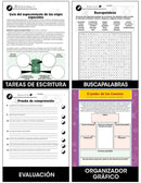 La última cuentista (Novel Study Guide)