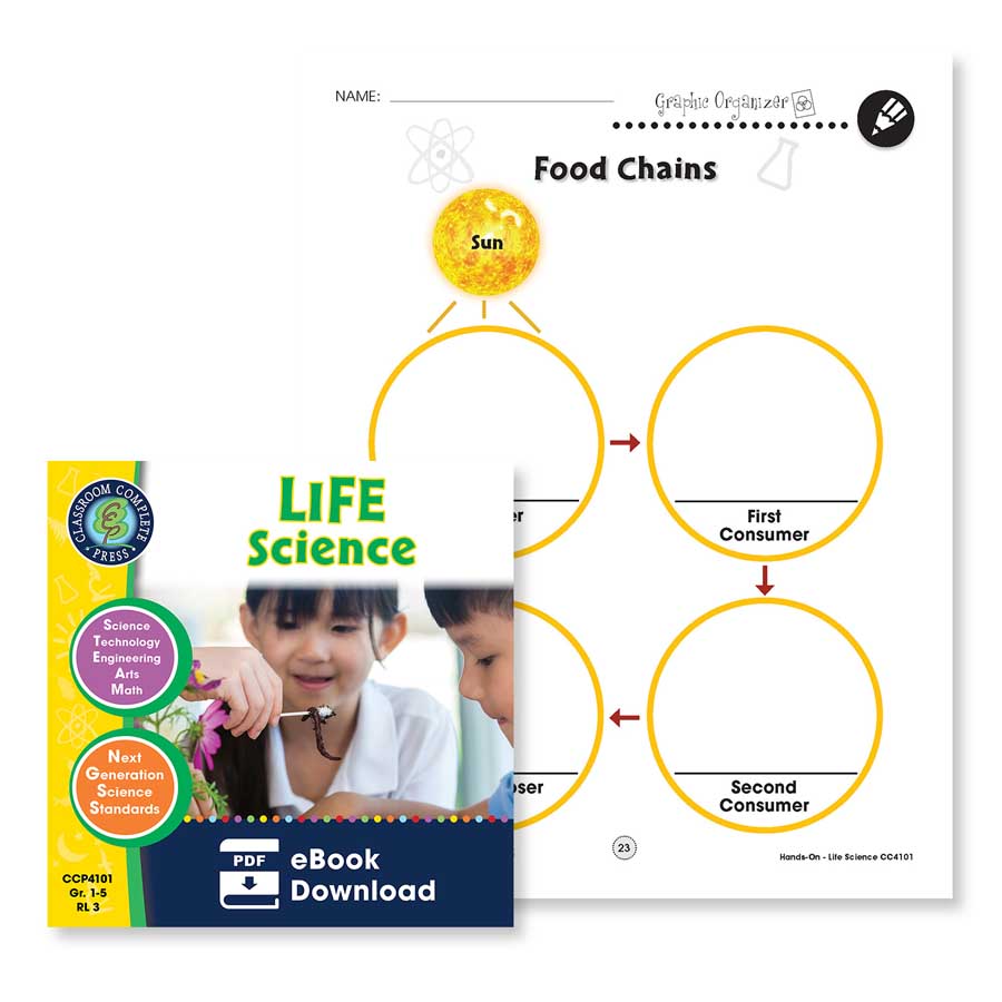 Food Chains And Webs Worksheets