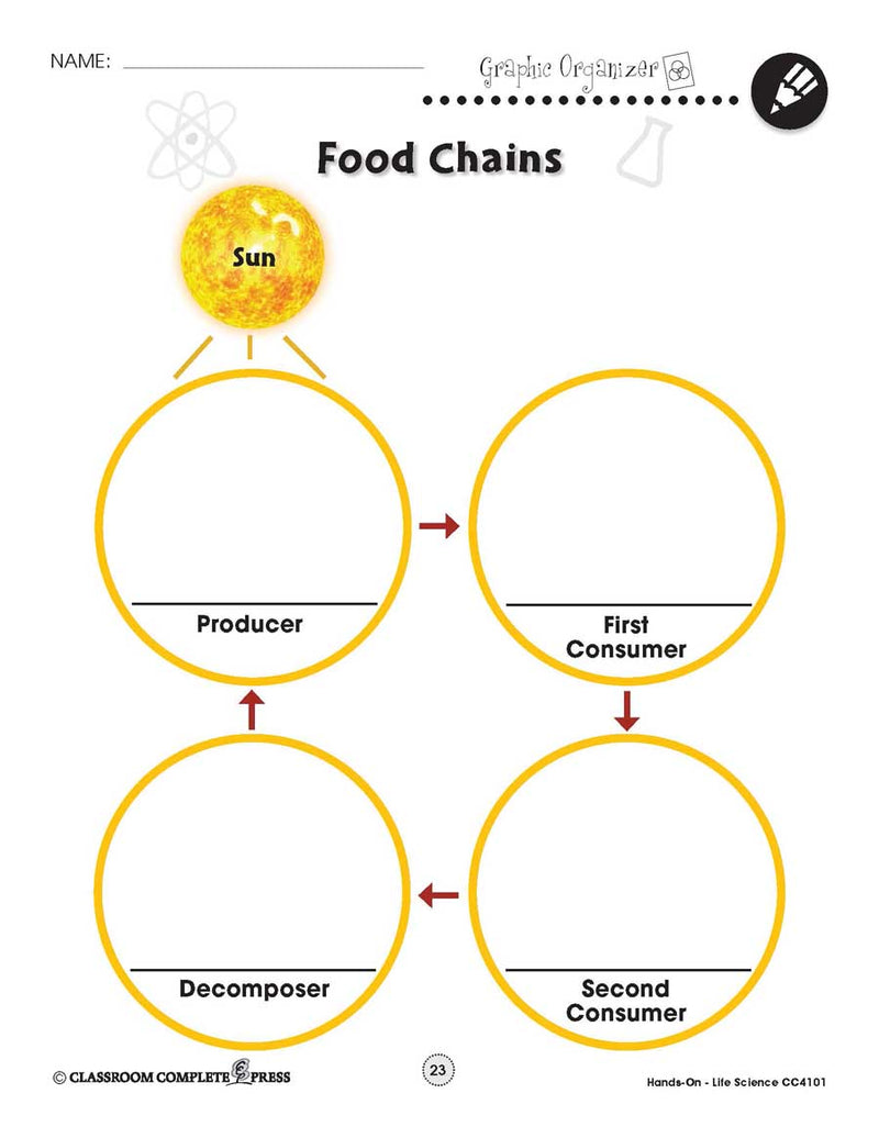 Life Science: Food Chains Web - WORKSHEET