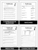 FRECKLE JUICE (NOVEL STUDY)