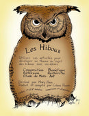 LES HIBOUX (French Version)