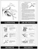 LES OISEAUX EN HIVER (French Version)