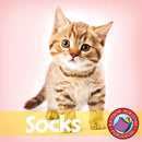 Socks (Novel Study)