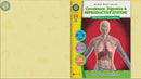 Circulatory, Digestive & Reproductive Systems