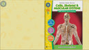 Cells, Skeletal & Muscular Systems