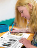 The Outsiders - BONUS WORKSHEETS