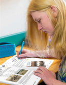 The Adventures of Huckleberry Finn - BONUS WORKSHEETS