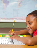 Stone Soup (Novel Study Guide)