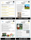 Fantastic Mr Fox - BONUS WORKSHEETS
