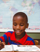 Chocolate Fever - BONUS WORKSHEETS