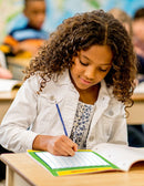 Bridge to Terabithia (Novel Study Guide)