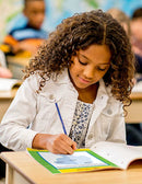 The City of Ember (Novel Study Guide)