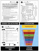 Classification & Adaptation