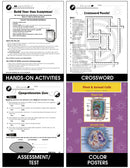 Ecology & The Environment Big Book