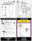 Cells, Skeletal & Muscular Systems