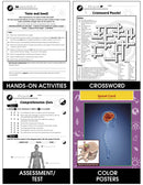 Senses, Nervous & Respiratory Systems