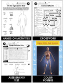 Circulatory, Digestive & Reproductive Systems