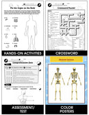 Human Body Big Book