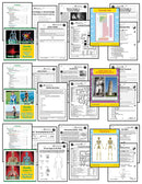 Middle School Science Bundle