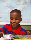 Mapping Skills with Google Earth - Grades 3-5