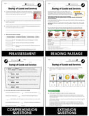 Daily Marketplace Skills