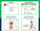 Human Body Big Box - Digital Lesson Plan