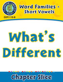 Word Families - Short Vowels: What's Different