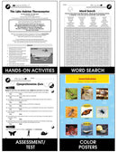 Classification & Adaptation: A Case Study: The Koala and Its Adaptations Gr. 5-8