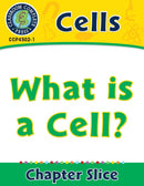 Cells: What is a Cell?