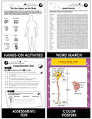 Cells, Skeletal & Muscular Systems: What Are Organs & Organ Systems? Gr. 5-8