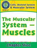 Cells, Skeletal & Muscular Systems: The Muscular System - Muscles Gr. 5-8