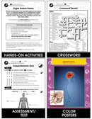 Senses, Nervous & Respiratory Systems: The Nervous System - Brain Gr. 5-8