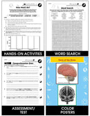 Senses, Nervous & Respiratory Systems: Spinal Cord and Nerves Gr. 5-8