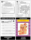 Senses, Nervous & Respiratory Systems: The Sense of Sight Gr. 5-8