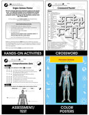 Senses, Nervous & Respiratory Systems: The Sense of Touch Gr. 5-8