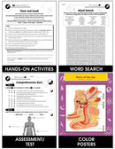 Senses, Nervous & Respiratory Systems: The Respiratory System Gr. 5-8