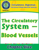 Circulatory, Digestive & Reproductive Systems: Blood Vessels Gr. 5-8