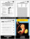Circulatory, Digestive & Reproductive Systems: Heart Gr. 5-8