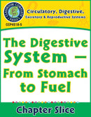 Circulatory, Digestive & Reproductive Systems: From Stomach to Fuel Gr. 5-8