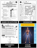 Circulatory, Digestive & Reproductive Systems: Skin, Liver & Lungs Gr. 5-8