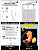Circulatory, Digestive & Reproductive Systems: The Reproductive System Gr. 5-8
