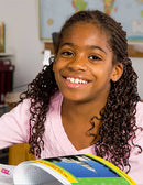 American Government: How a Bill Becomes a Law Gr. 5-8