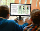 How to Write a Paragraph - Google Slides BUNDLE