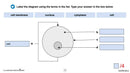 Cells, Skeletal & Muscular Systems: Cell Structures & Functions - Google Slides