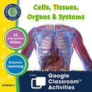 Cells, Skeletal & Muscular Systems: Cells, Tissues, Organs & Systems - Google Slides