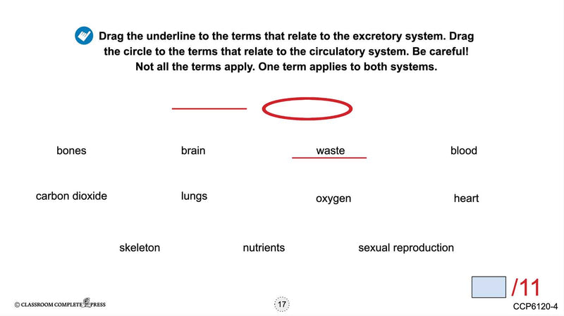 Cells, Skeletal & Muscular Systems: What Are Organs & Organ Systems? - Google Slides