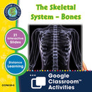 Cells, Skeletal & Muscular Systems: The Skeletal System – Bones - Google Slides
